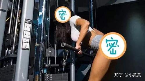 健身小西直播91,揭秘健身达人高效塑形秘诀