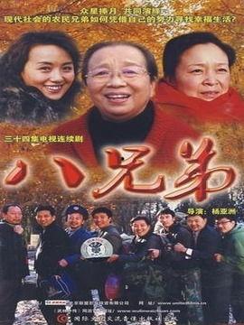 八兄弟电视剧,血脉相连，共筑家国梦